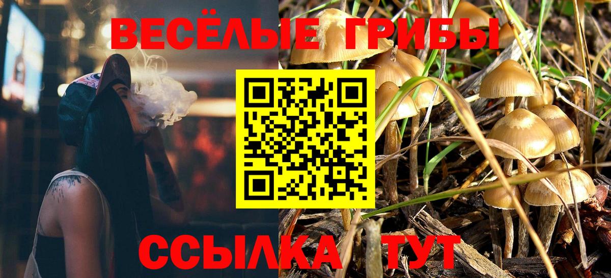 Каспийск  Псилоцибиновые грибы ЛСД  Вход с VPN 